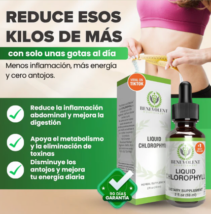 Clorofila Liquida Benevolent | compruebalo por tu misma!!