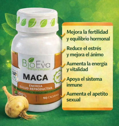 Maca | Recupera Tu Salud Sexual🔥
