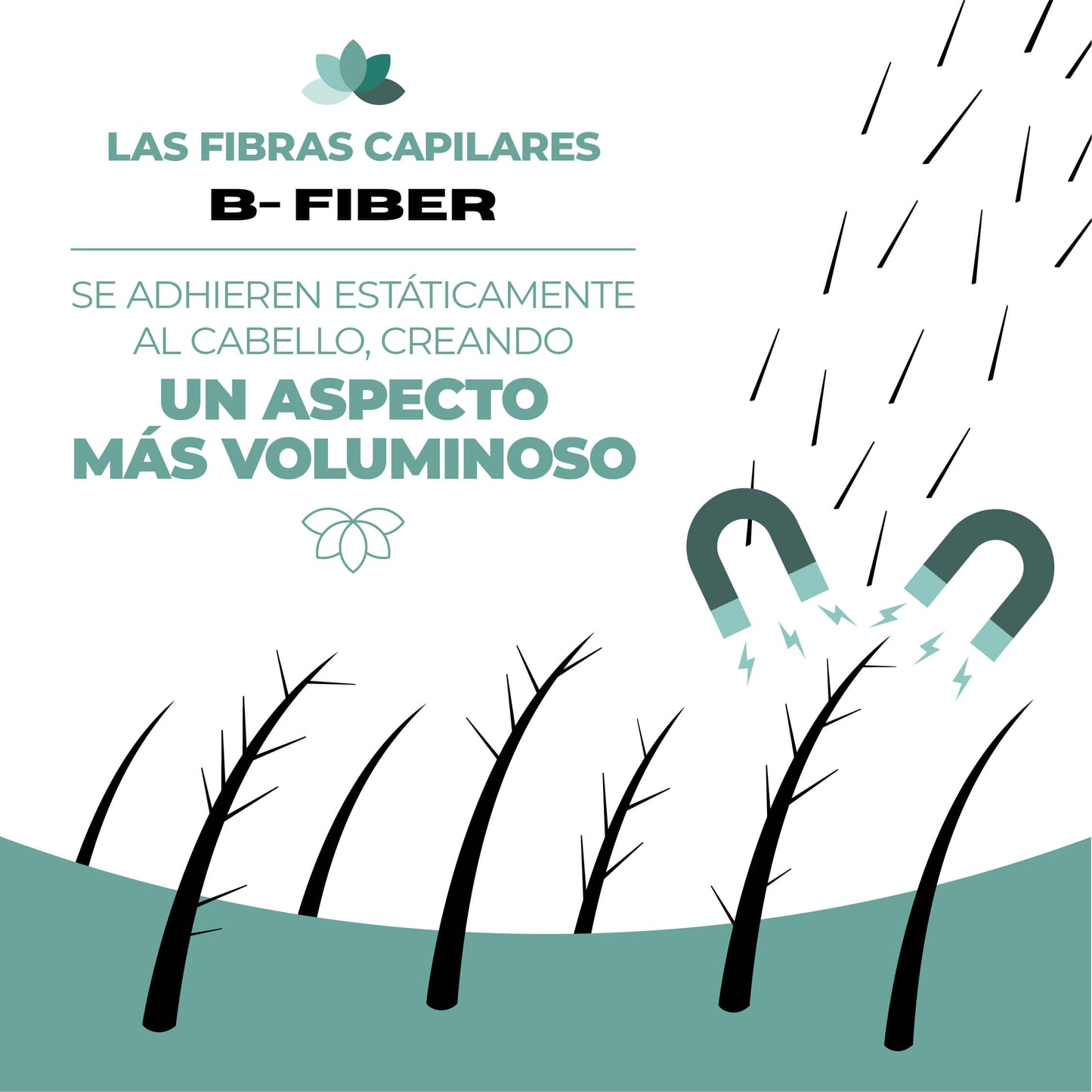 FIBRAS CAPILARES NEGRO